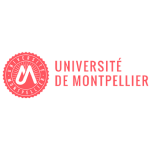 Nouveau projet(14)